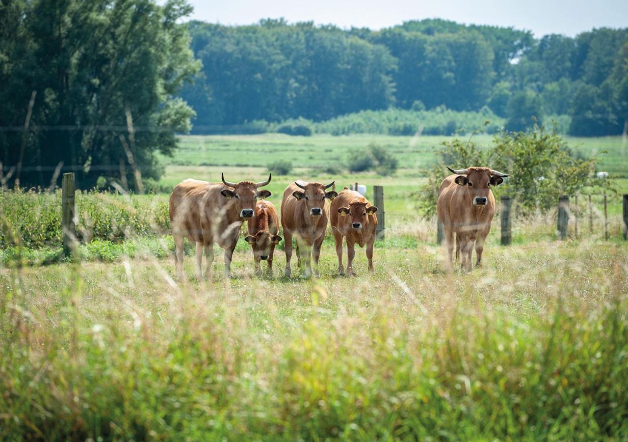 Feldgang Ein Gaestehaus! Upahl Exteriér fotografie